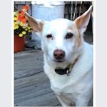 Profile Picture of Kathleen Nectow (@kathleennectow) on Instagram