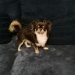 Profile Picture of Marilena Arnoffi (@marilenaarnoffi) on Instagram