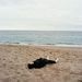 Profile Picture of Daniellehidalgo (@daniellehidalgo261) on Pinterest