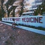 Profile Picture of Uy Edwin (@edwin__uy) on Instagram