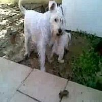 Profile Picture of Tomer Tal (@tomer-tal-3) on Quora