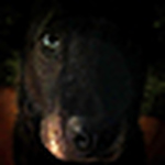 Profile Picture of Eric Alan (@feennixx) on Flickr