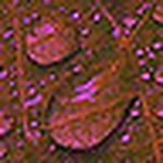 Profile Picture of Damian White (@byepolarone) on Flickr