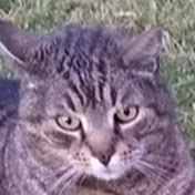 Profile Picture of Julia Wiley (@JuliaWiley-rk9il) on Youtube