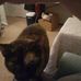 Profile Picture of Clark Triplett (@clark.triplett.355) on Facebook