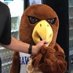 Profile Picture of Doug Nebel (@skyviewhawk) on Instagram