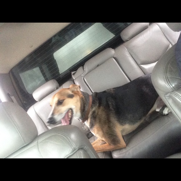 Profile Picture of Kathleen Kasel (@kathleenkasel10) on Poshmark