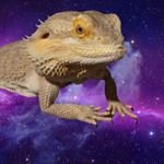 Profile Picture of ʟᴀʀʀʏ (@pealeco39) on Instagram