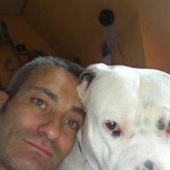 Profile Picture of Thomas Strunk (@shogy1) on Tiktok