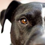 Profile Picture of Thomas Döring (@thomas.doering.1000) on Instagram