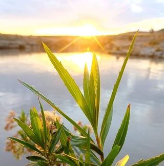 Profile Picture of Virginia Capetillo (@virginia.capetillo.524) on Facebook