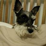 Profile Picture of Paula Felde (@paulafelde) on Instagram