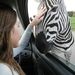 Profile Picture of Danielle Haydon (@daniellehaydon) on Pinterest