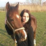 Profile Picture of Jessica Hagemann (@jessy_classicdressage) on Instagram