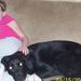 Profile Picture of Nancy Heier (@keithh80) on Pinterest