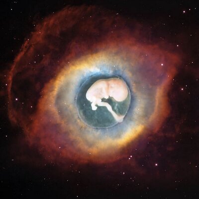 Profile Picture of Mickey Howell (@1963Mickey) on Twitter