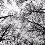 Profile Picture of Tyler Chalmers (@photographer.tyler) on Instagram