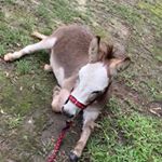 Profile Picture of Bryce Preston (@bryce_00_11_22) on Instagram