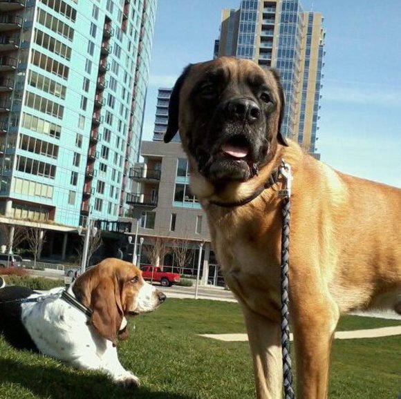 Profile Picture of Sabrina Buffham (@sabrina_d2000) on Poshmark