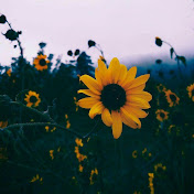 Profile Picture of Kelsey Mackey (@kelseymackey7485) on Youtube