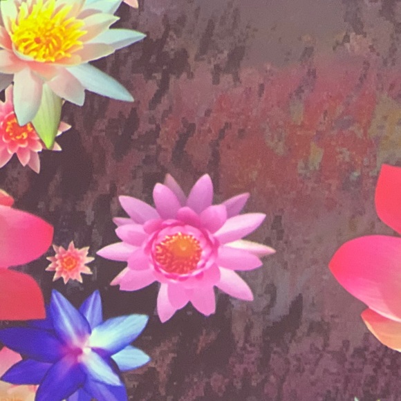 Profile Picture of Chrisa Carino (@ig426) on Poshmark