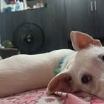 Profile Picture of Kevin Salzar (@kevin.salzar.855140) on Facebook