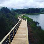 Profile Picture of Michael Meloni Menuiserie (@meloni.menuiserie.bois) on Instagram