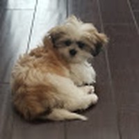 Profile Picture of Paola Y Miguel Flaquer (@paola-y-miguel-flaquer) on Quora