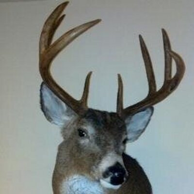 Michael Ruffing - Twitter Profile Picture of Michael Ruffing (@MichaelRuffing) on Twitter