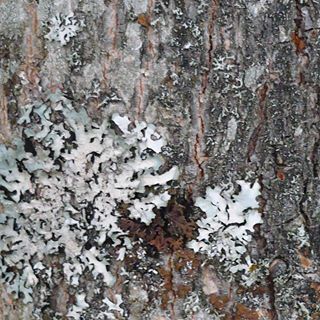 Adam Lukas Stepanek - Facebook Profile Picture of Adam Lukas Stepanek (@adam.l.stepanek) on Facebook