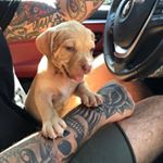 Profile Picture of Brad Bogdan Andrei ⚡ (@bogdanbrad_) on Instagram