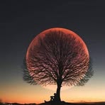 Profile Picture of Victoria Glitz (@Victoria-Glitz) on Facebook