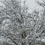 Profile Picture of Sharee Small (@shsmall57) on Instagram