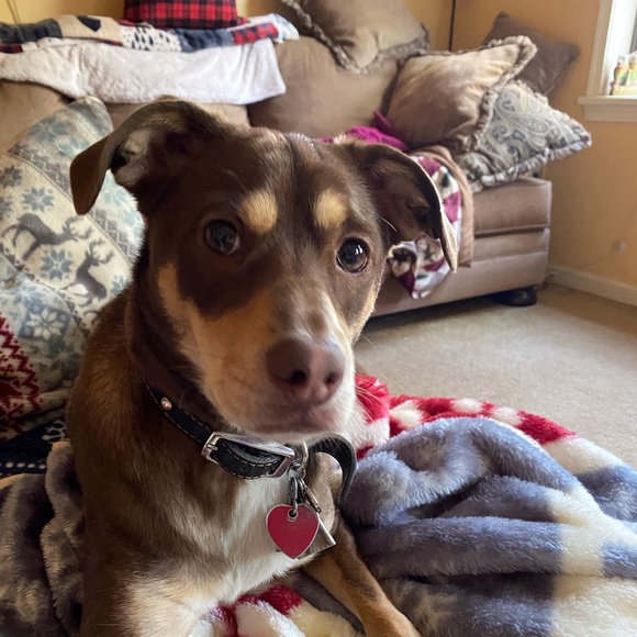 Profile Picture of Michele Pietrzyk (@mpietrzyk) on Poshmark