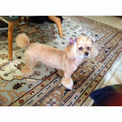 Profile Picture of Patrick Kibby (@patrickkibby8544) on Youtube