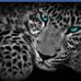 Profile Picture of Kelsey Keyes (@kelsey.keyes.334) on Facebook
