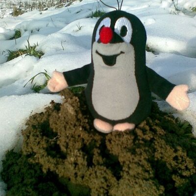 Profile Picture of Daniel Tomaszewski (@dtomasz) on Twitter