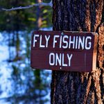 Profile Picture of Doug Patterson (@doug.patterson.1804) on Instagram
