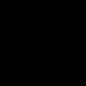 Profile Picture of Steven Segura (@StevenS56001448) on Twitter