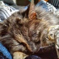 Profile Picture of James Donadio (@james-donadio) on Quora