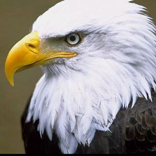 Profile Picture of Doug Shoemaker (@doug.shoemaker.5) on Facebook