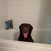 Profile Picture of Sean McCullough (@IdlingShadow) on Youtube