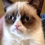 Profile Picture of Roger Best (@roger.best.3939) on Instagram