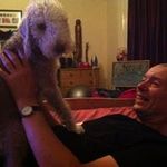 Profile Picture of Sean Batchelor (@sean__batchelor) on Instagram