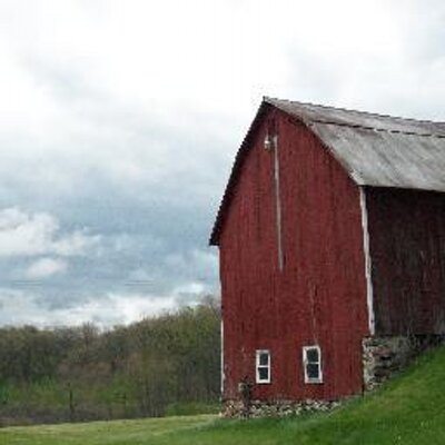 Profile Picture of Kris Weber (@michigan_kris) on Twitter