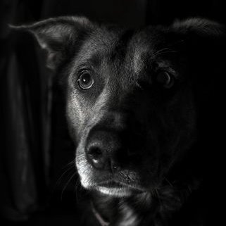 Profile Picture of Howard Agnew (@hagnew_photo) on Twitter