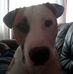 Profile Picture of Joe Shaddock (@joe.shaddock.16) on Facebook