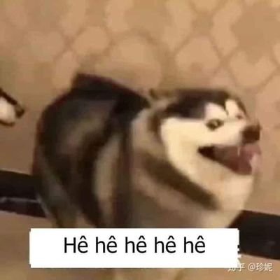 Profile Picture of Ian Nguyễn (@IanNguyn6) on Twitter