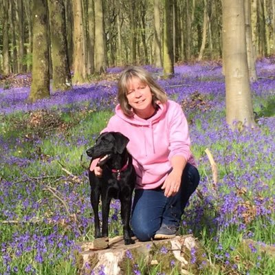 Profile Picture of Heather Foster (@HGF2432) on Twitter