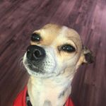 Profile Picture of Kevin Araujo (@rickismorty7) on Instagram